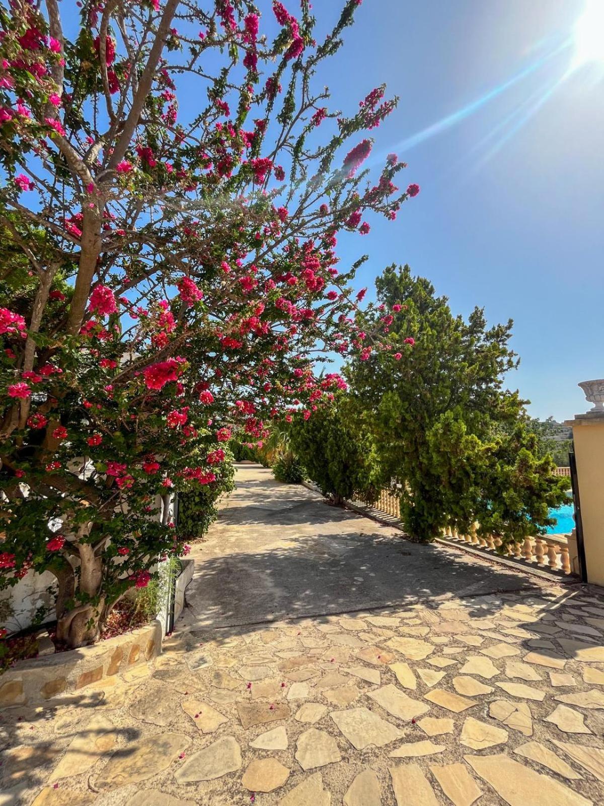 Апартаменты Casa Mar Benissa Calpe Экстерьер фото